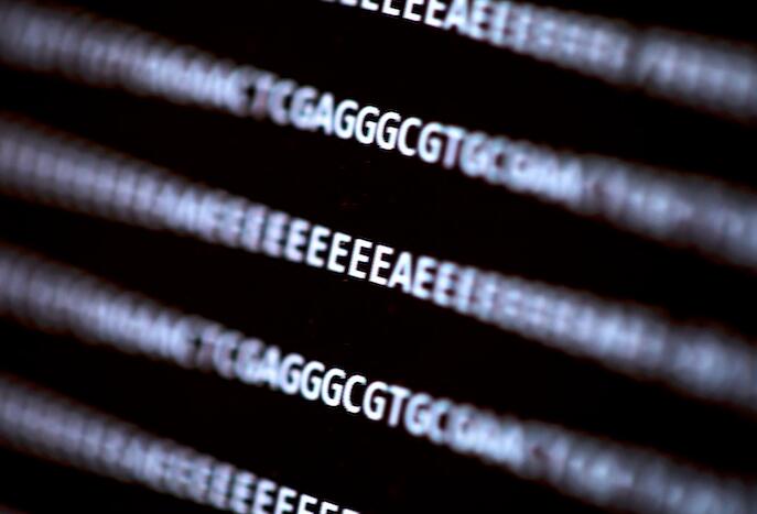 ??DNA??????????????????(C)????????(G)?????????(T)????????(A)?????????????????(E)???????????????????????????????????????????