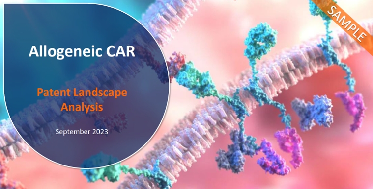 ?????????????????壨Allogeneic CAR????????????-2023?桷